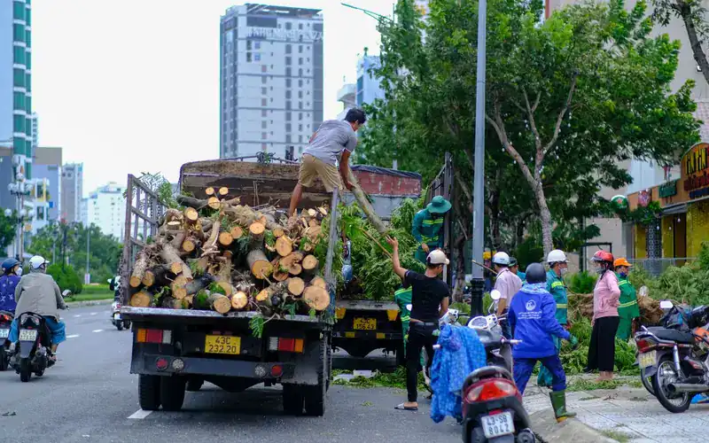 Crew loading cut branches and logs onto a truck to clear storm debris