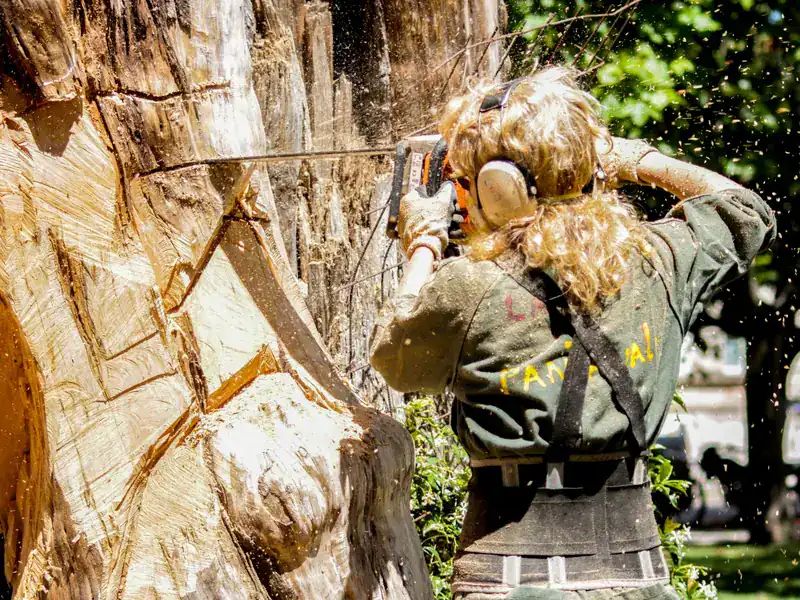 Arborist cutting into a large tree trunk with a chainsaw