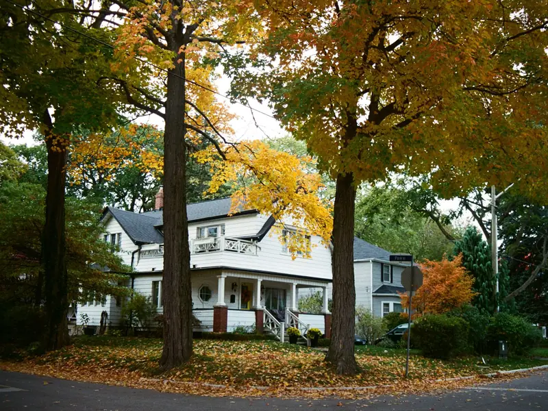 White village house framed by tall mature trees in fall color