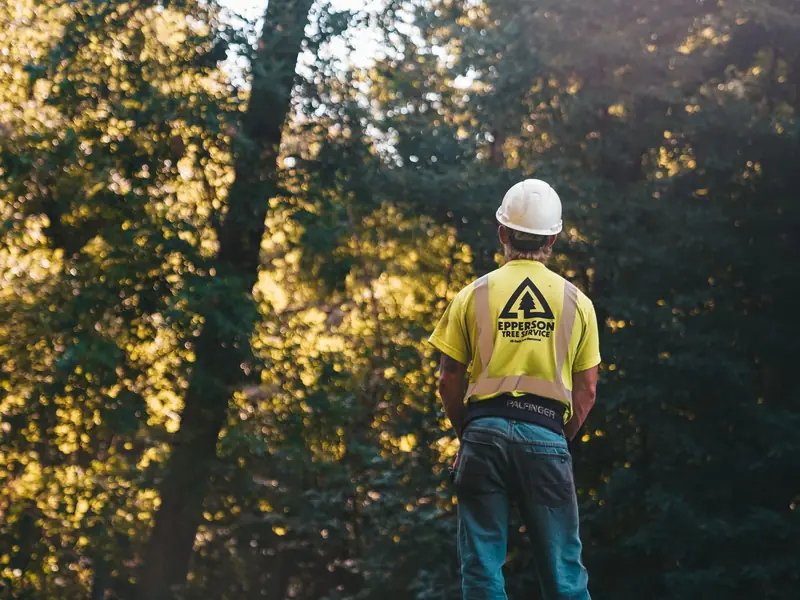 Crew member in a hard hat and safety vest standing among trees