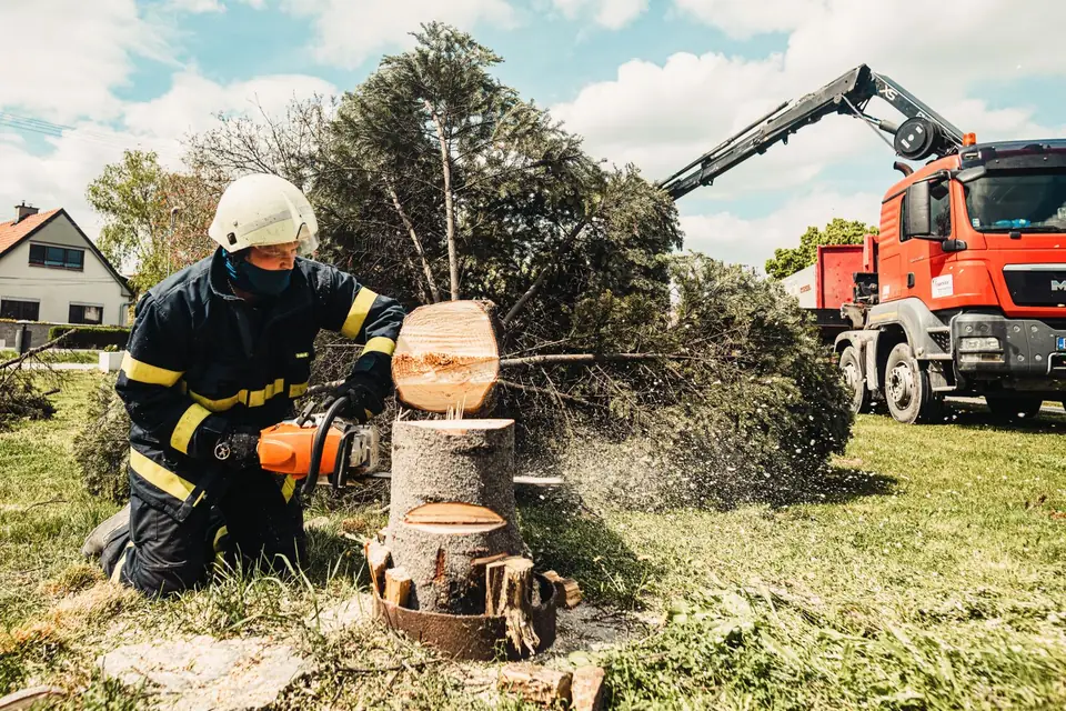 Crew member cutting a trunk into sections beside a crane truck