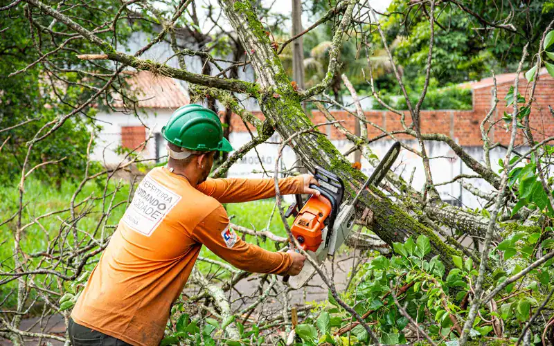 Worker cutting storm-damaged branches with a chainsaw