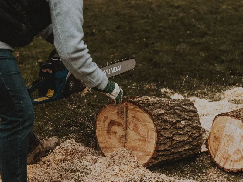Person cutting logs with a chainsaw, sawdust scattered on the ground