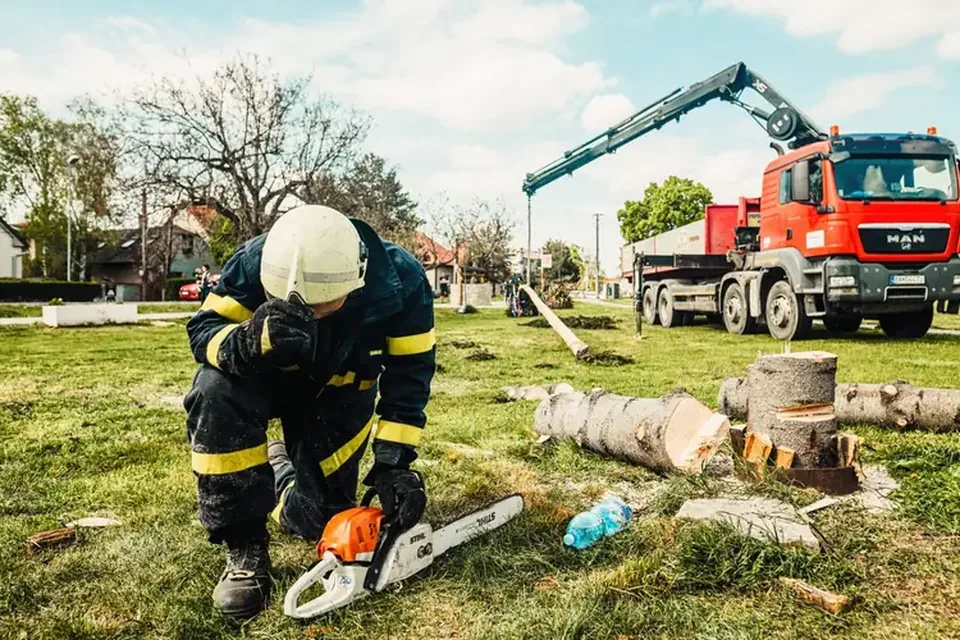 Crew member working on the ground beside a removed tree