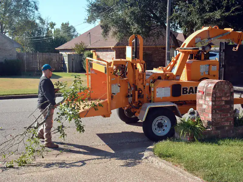 Crew member feeding branches into a wood chipper