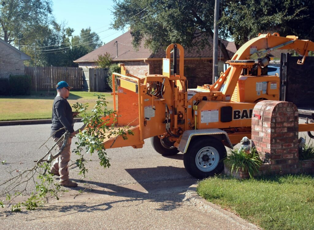 Stump Grinding vs. Stump Removal in Boston, NY: Which Option Is Best for Your Property?